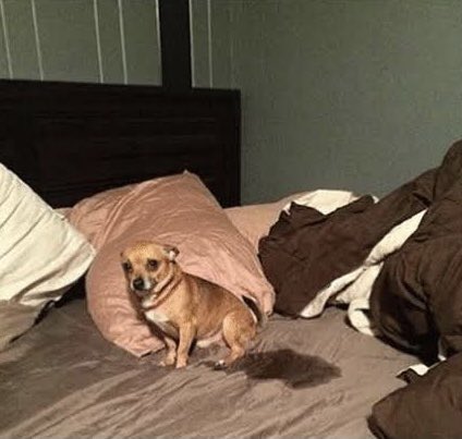 busy in thai (@y9n1brs) on Twitter photo 