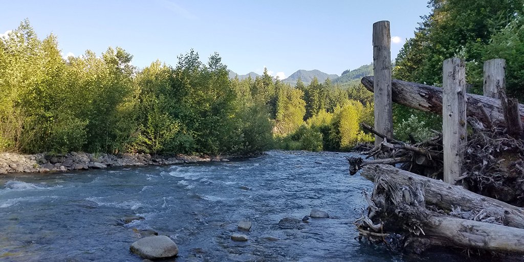 The Puget Sound Partnership's Ecosystem Coordination Board will meet online tomorrow. Find meeting highlights, links to the agenda, and other meeting materials here: content.govdelivery.com/accounts/WAPSP…