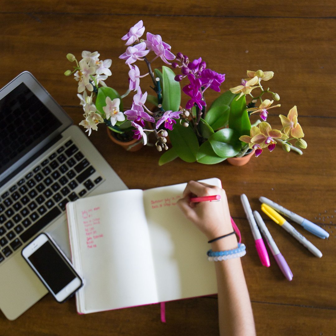 Count down till the first day school ! Who's going to miss summer? 🌴🏖️
 #orchidlover #orchidcollection