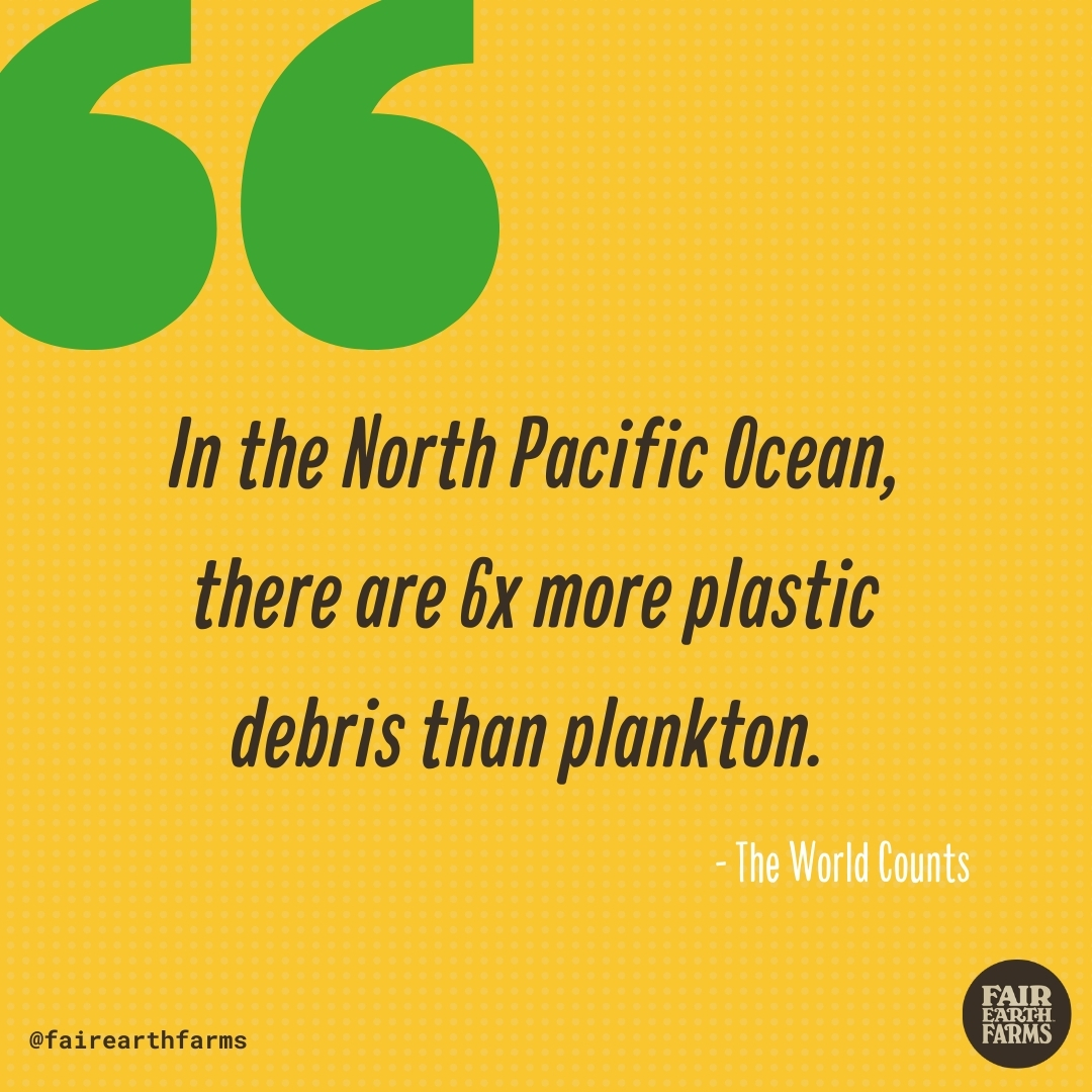 FairEarthFarms's tweet photo. We must make a drastic change for our future 💚 #PlasticPoillution #ChooseCompostable #PackedWithPurpose 🌎 https://t.co/Q4rUHbx5PD