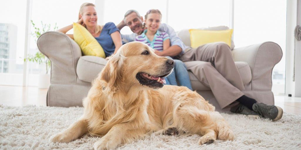 nationalgridus's tweet photo. As the temps rise, try to wind down. Avoid prolonged, strenuous outdoor activity and opt for a cool afternoon indoors to prevent heat exhaustion. For more tips, visit: https://t.co/coG32QS2zg #HeatTweets https://t.co/6wjjaZkEBp