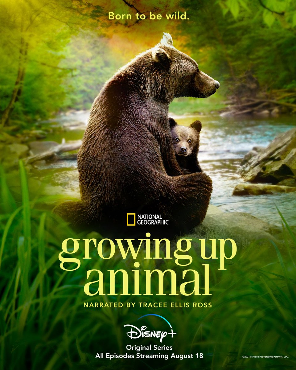 TraceeEllisRoss's tweet photo. Two words: baby animals! All episodes of #GrowingUpAnimal from @NatGeo, narrated by yours truly, are streaming August 18th on @DisneyPlus #SummerOfDisneyPlus https://t.co/7OmkiVqMcn