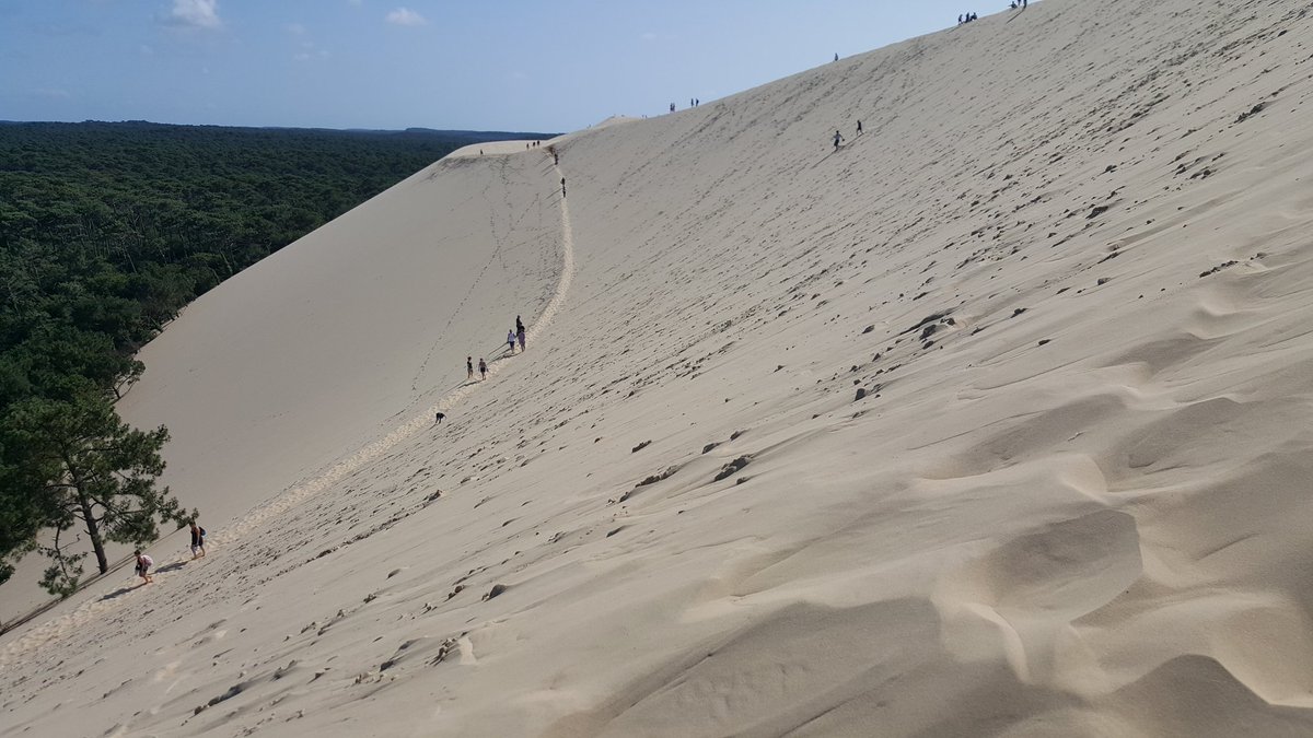 dissa_p's tweet photo. Happy to visit the biggest sand dune in Europe (height 110m): Arcachon Bay, Bordeaux, FR https://t.co/UhYO8lWNHb