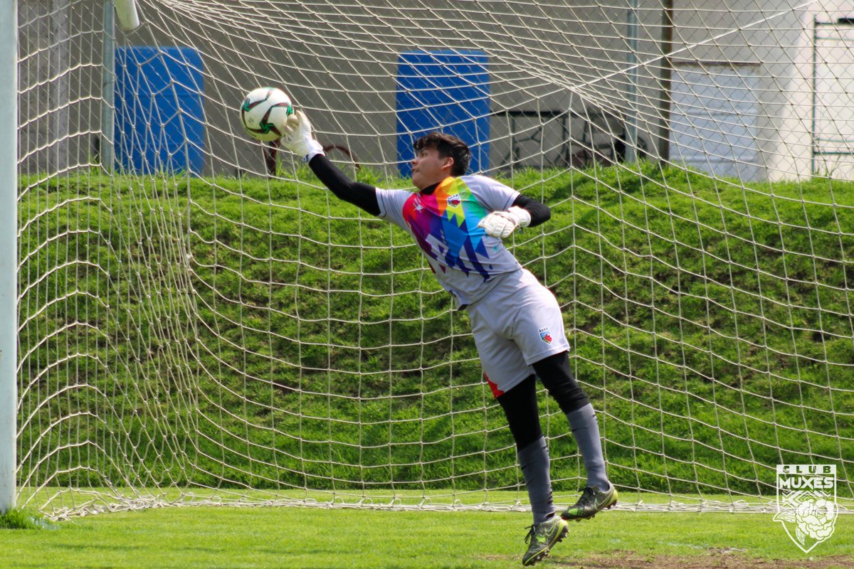 clubmuxes's tweet photo. 💯 Rumbo al inicio de la @LigaTDP 🔜

🔥 Finaliza nuestro segundo día de #Pretemporada, en el cual se realizaron trabajos específicos con balón y ejercicios de fuerza. 🙌🏼 

¡Dale, Muxes! 🌺 

#PorUnDeporteSinEtiquetas 🏳️‍🌈 
#ClubMuxes https://t.co/fDT3ShszFG
