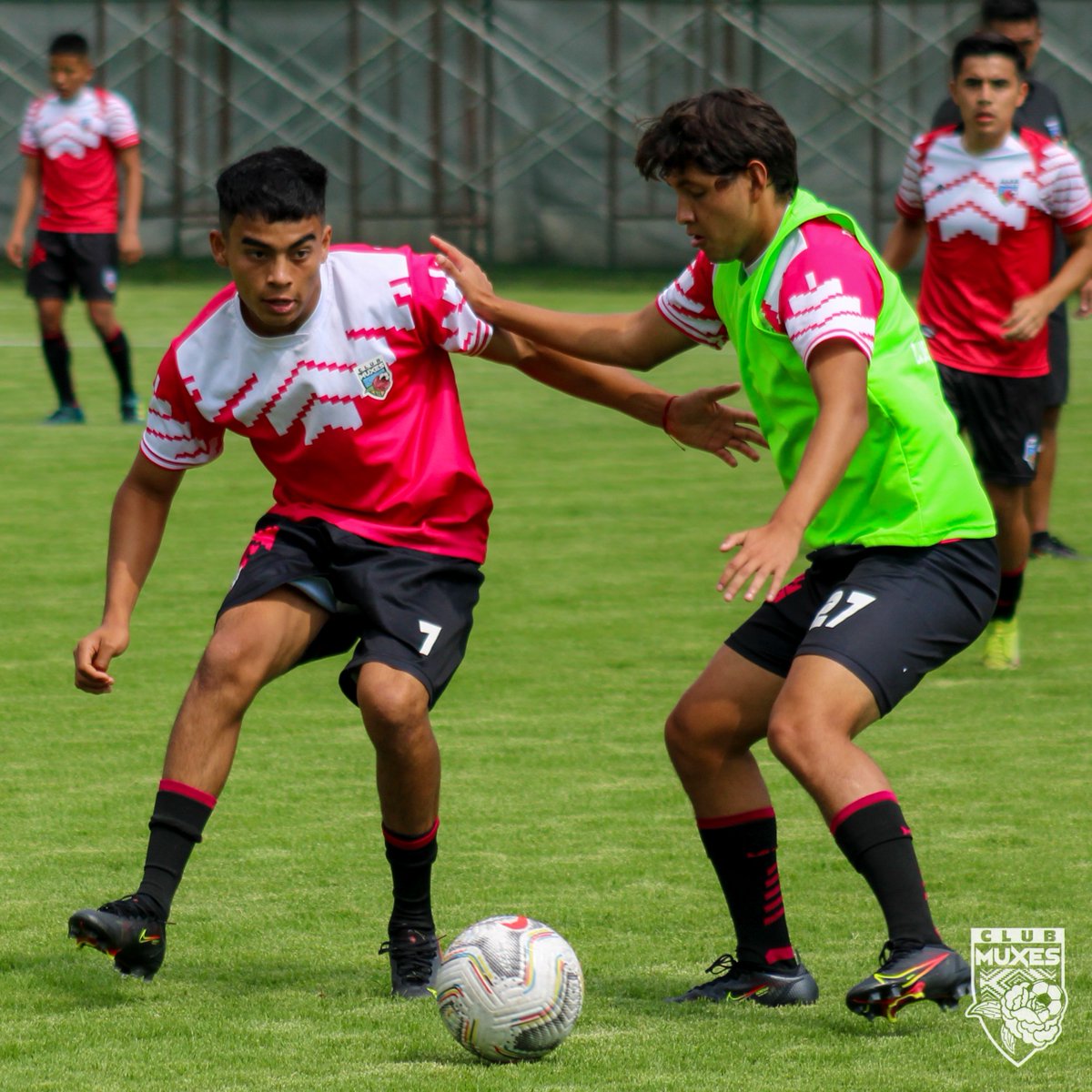 clubmuxes's tweet photo. 💯 Rumbo al inicio de la @LigaTDP 🔜

🔥 Finaliza nuestro segundo día de #Pretemporada, en el cual se realizaron trabajos específicos con balón y ejercicios de fuerza. 🙌🏼 

¡Dale, Muxes! 🌺 

#PorUnDeporteSinEtiquetas 🏳️‍🌈 
#ClubMuxes https://t.co/fDT3ShszFG