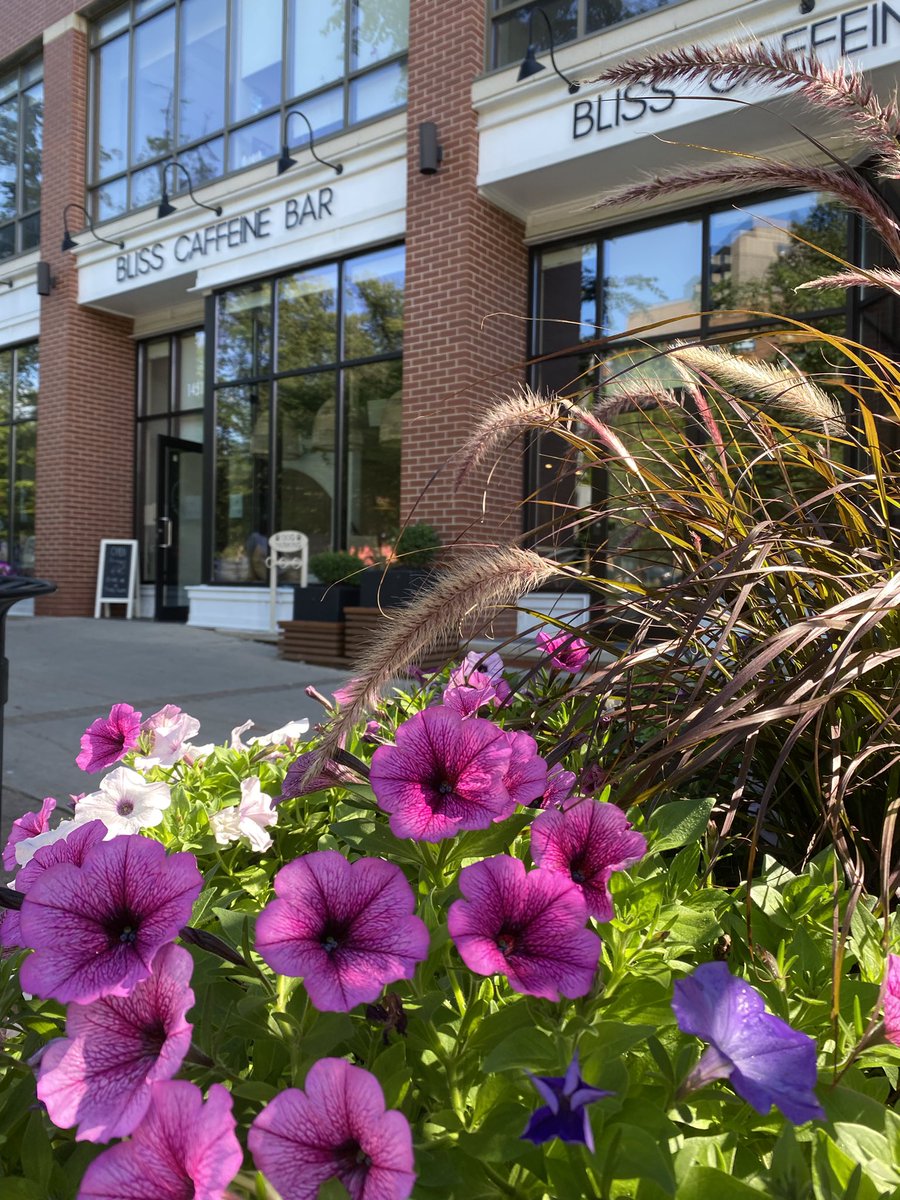 SpringGardenRd's tweet photo. Thank you to the amazing people at Blooming Gardeners for once again creating a beautiful summertime arrangement. You can see these beautiful flowers throughout Spring Garden.
#SpringGarden #Flowers #Blooming #GrowSpringGarden https://t.co/nXbJ0hCO52