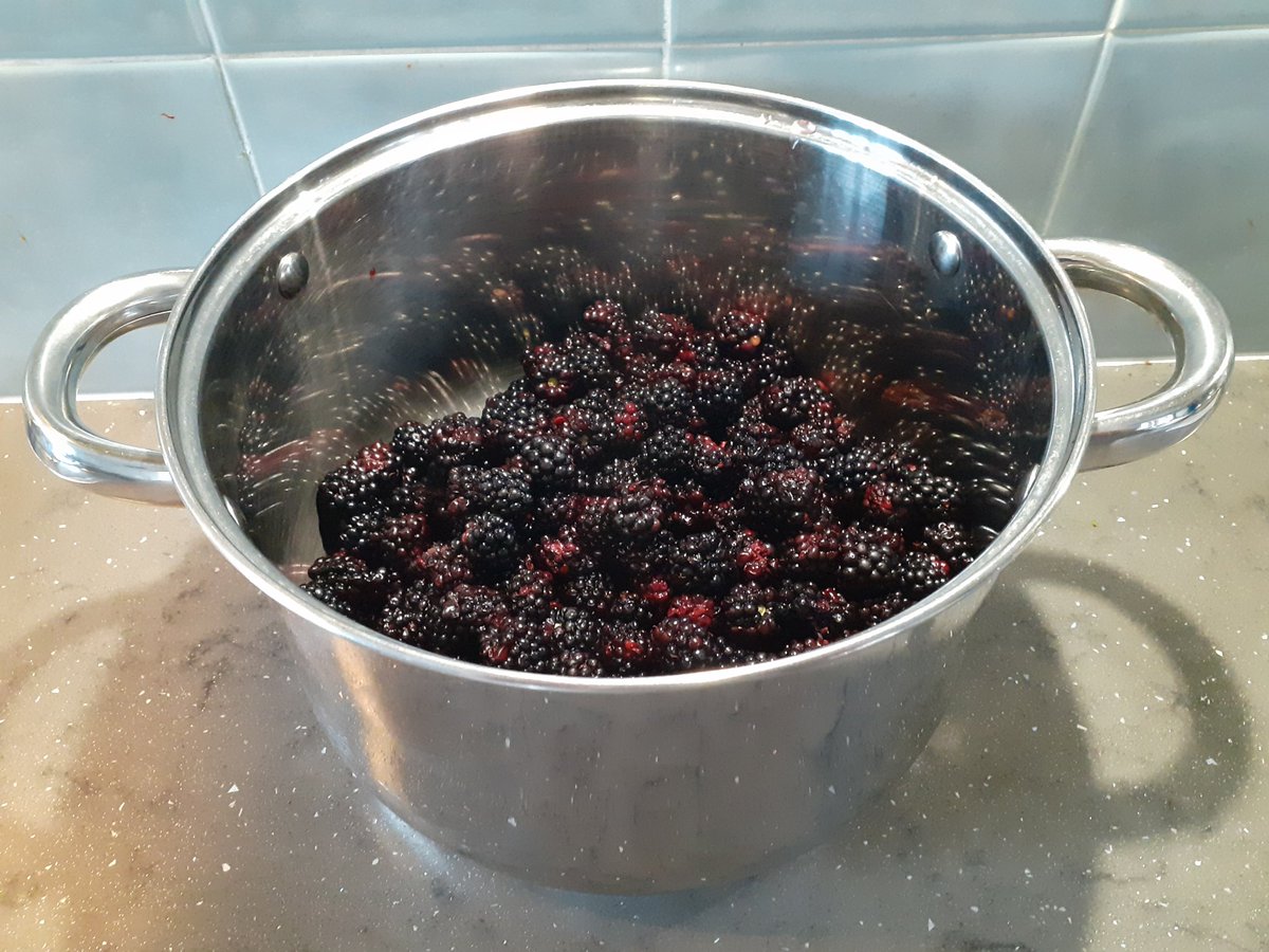 oatiejones's tweet photo. Day 11 of #AHPsActive #WeActiveChallenge 2021 π€©
#OatieJones In a bit of a Jam π€©ππ...
3lbs of Blackberries from the King & Queen ππππ€π€... Now what shall I make ??π
Absolutely smashing on white toast !! πππ
#OTHands
#MakeStuffEatStuff
#MemoriesFromMyYoooof https://t.co/eHMMEtlrDD