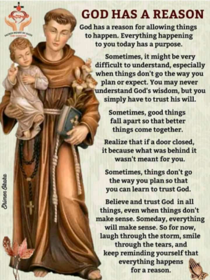 Alexandra James Ringo (@AlexandraRingo) | Twitter