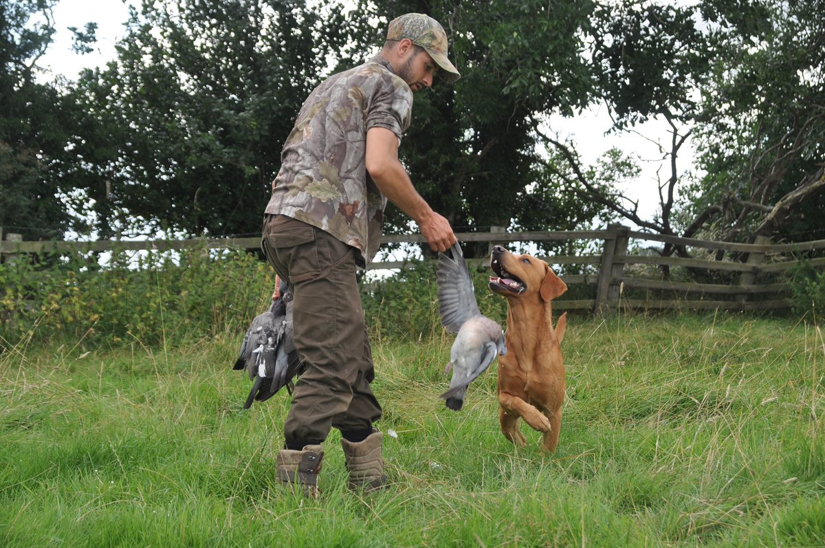 Robert Griffin tweet media