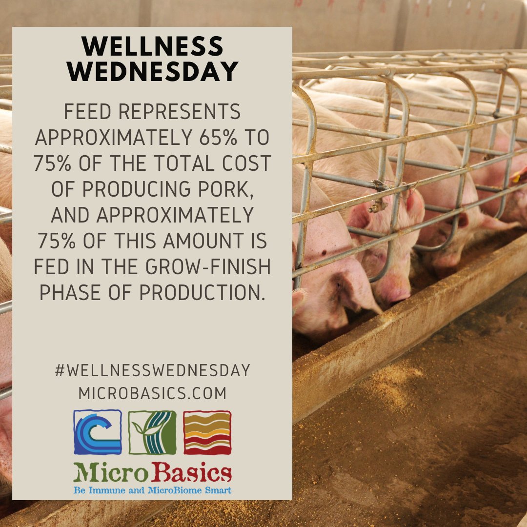 MicroBasics's tweet image. Wellness Wednesday: Close attention is needed to develop a nutrition and feeding management program to increase the potential for profitability.

#WellnessWednesday #nutrition #microbasics #immunity #microbiome #natural #solutions #feedgooddogood #guthealth #converge