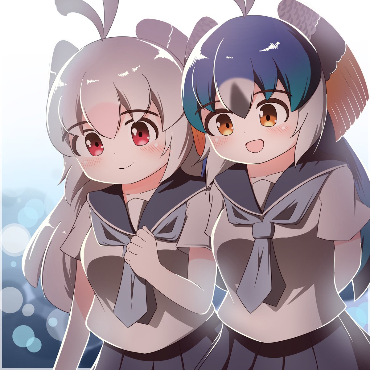 クジャクまとめ Min T ミント