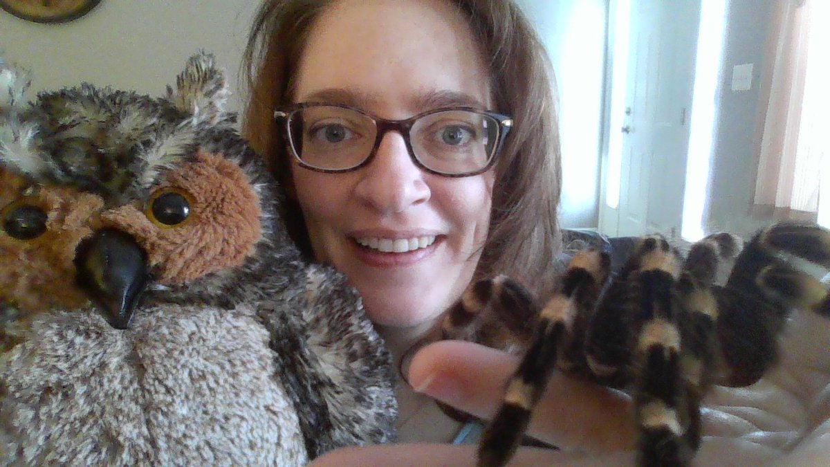 Annette Whipple (@annettewhipple) on Twitter photo Who's vacationing in #Delaware? Stop by and see me Thursday 6-8 at <a href="/BethanyBooks/">Bethany Beach Books</a>! I'll have Edna and Wilbur with me! One is a stuffed animal. One is not! :) #BethanyBeach #celebratecuriosity #books #kidlit Who's vacationing in #Delaware? Stop by and see me Thursday 6-8 at <a href="/BethanyBooks/">Bethany Beach Books</a>! I'll have Edna and Wilbur with me! One is a stuffed animal. One is not! :) #BethanyBeach #celebratecuriosity #books #kidlit