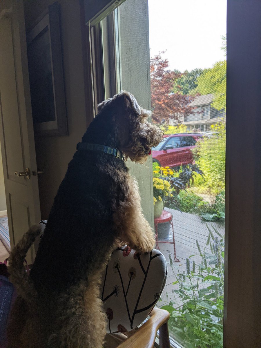 megaskaterboy's tweet photo. When mom pulls up <3 https://t.co/Ai834UjuEd