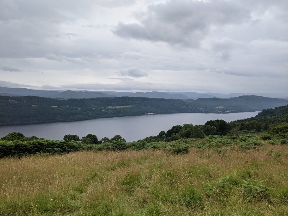 George Brock tweet media