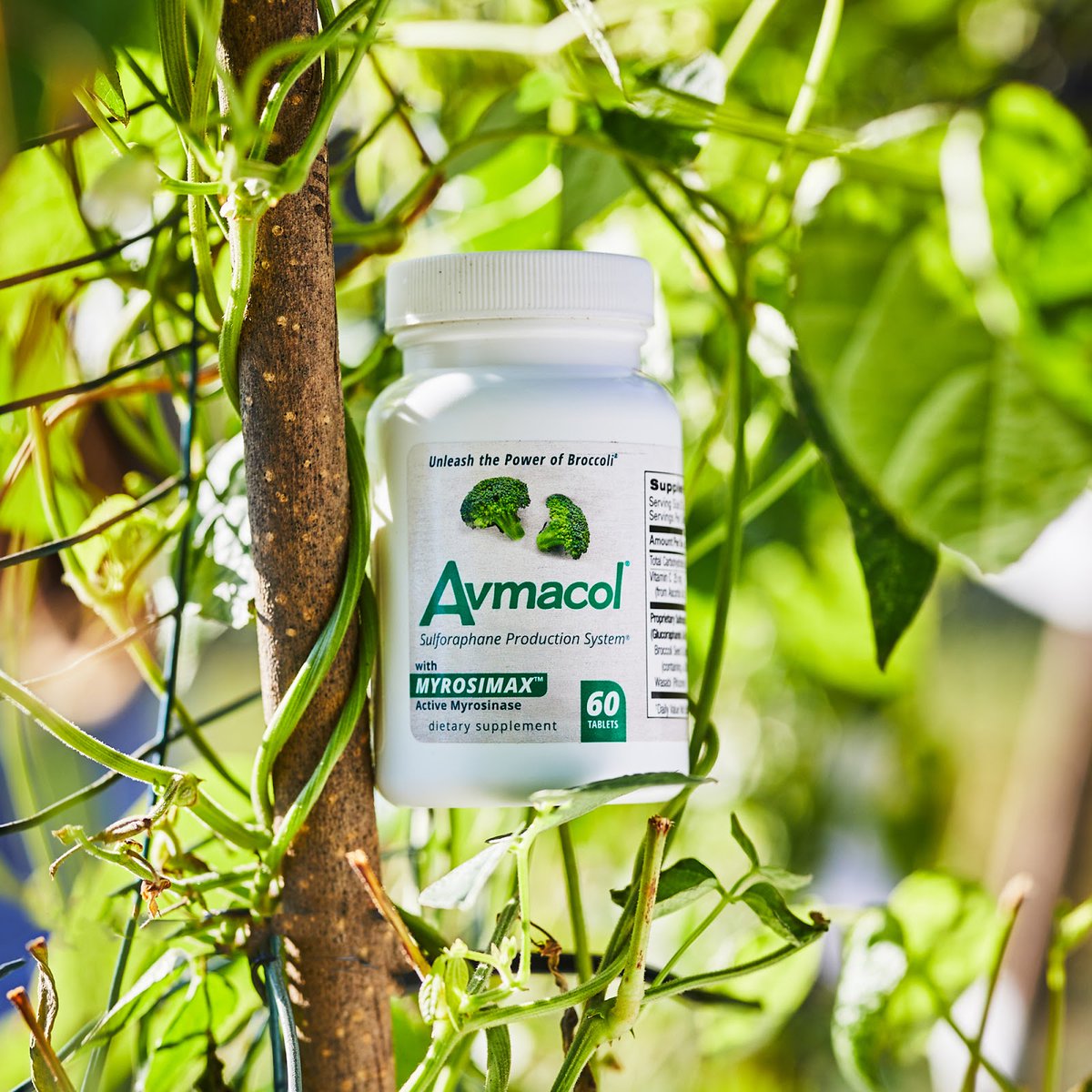 Avmacol's tweet image. Unleash the power of broccoli with Avmacol(R) to support your body’s natural immune and detoxification systems.