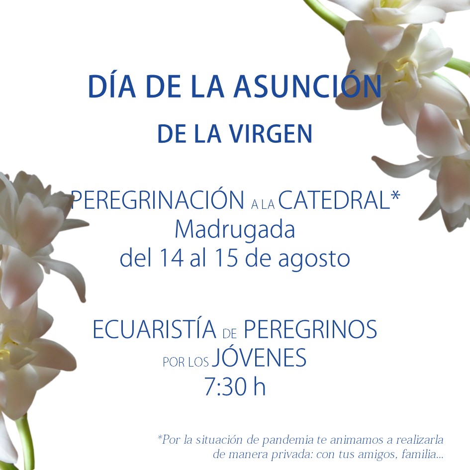 🙏 Día de la Asunción de la Virgen María a los cielos y la celebración de nuestra patrona, la Virgen de los Reyes.

¡Si quieres más información sobre la novena visita nuestra web!

🙌🏼Contamos contigo, porque la Virgen es quien nos convoca.

#Confía #PJSevilla #Verano2021