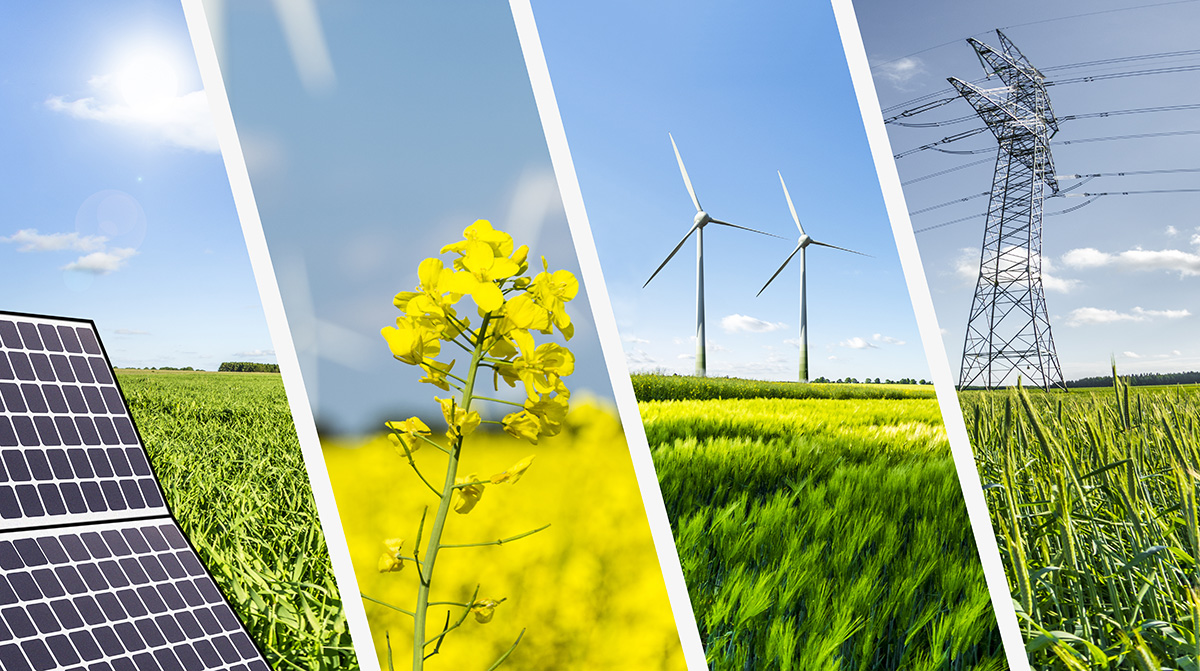 SafetyNHealthG's tweet photo. Sustainable energy presents an opportunity to transform lives &amp; economies while safeguarding the planet 🌎 
- UNEP.

#SustainableEnergy #UNEP #SafetyNHealthG🍃 https://t.co/pswFLxE0si