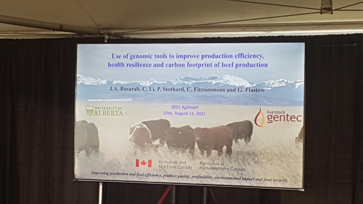 obiohadurunna's tweet photo. Dr. John Basarab discussing the use of #GenomicTools to improve important #BeefTraits #agsmart21 @OldsCollege @BeefResearch https://t.co/1IXZCXL4L3