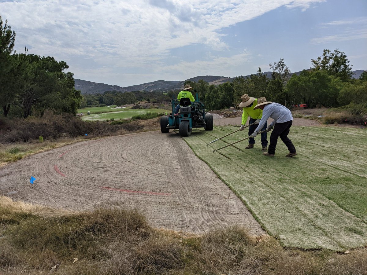 Santa Ana bermudagrass going down on #1 tee.