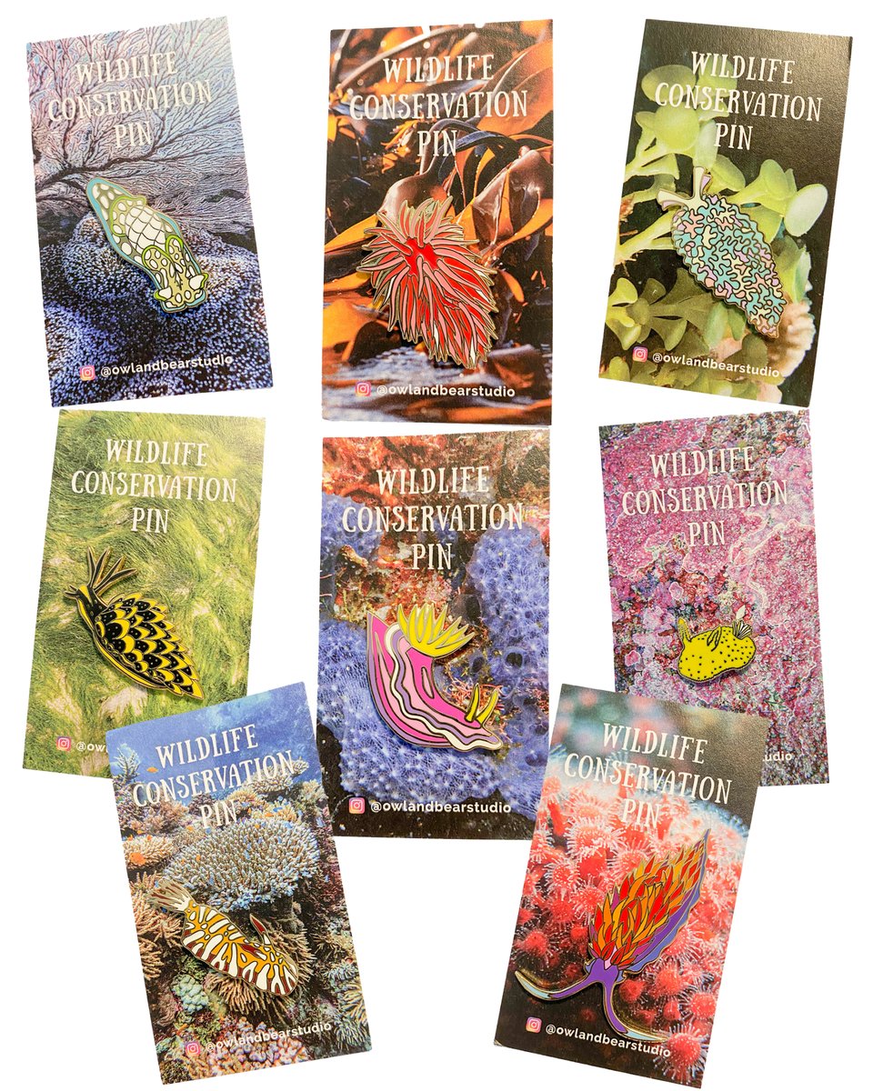 NEW! 2021 Wildlife Conservation Pins 😍
We partnered with @owlandbearstudio to bring you MORE Nudibranch, Sea Slug, AND Sea Snail Pins! ⁠🥳🥳🥳
8 NEW Species, 8 Organizations to support - which one is your favorite?!⁠⁠
#ilovenudis #nudibranch ilovenudis.com