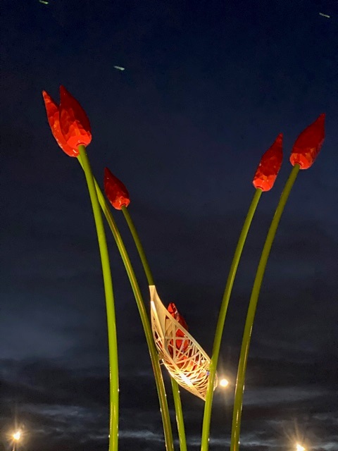 Apparatus Design tweet media