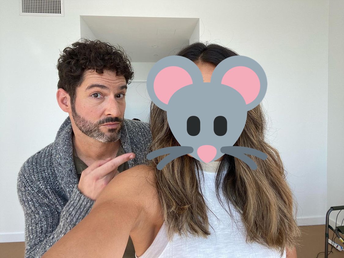 softbrowarnik's tweet image. #FreeTom