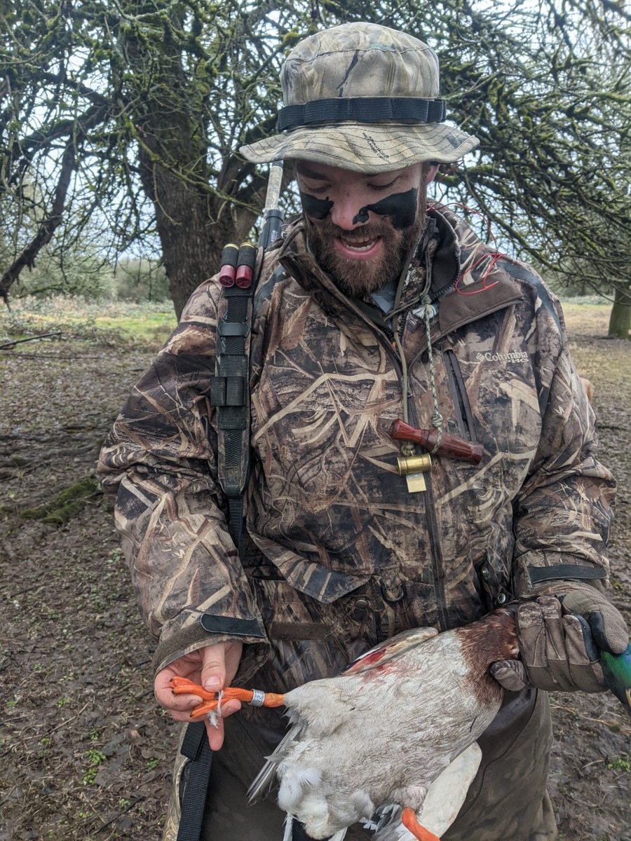 Last bird of the season, it ended up being an extra special bird! 💍
.
#waterfowlwednesday #mallardsbro  #327band #duckhunting #beretta #realtree #drake #mallards #ducksunlimited #shotkam #usiawaders #federalpremium #whatgetsyououtdoors #pacificcalls #SIwigeonwhistle