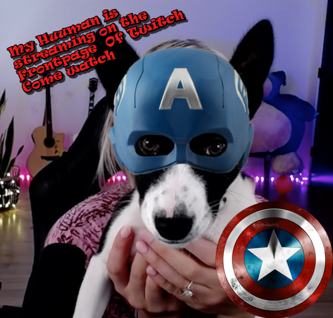 GambitXtreme's tweet photo. Captain Yondu has spoken go watch his Huuman 
@JanellWheeler
  #streaming on #twitch #frontpage. Its always an amazing time there in the #wheelerverse #marvel #geek #comics #Yondu #TheDCEU #cosplay #HarleyQuinn 
https://t.co/L8QDmHYkax https://t.co/2YKl4ivqaa