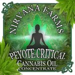 Image for the Tweet beginning: Peyote Critical Labels by JCruceWeb