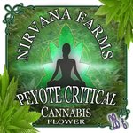 Image for the Tweet beginning: Peyote Critical Labels by JCruceWeb