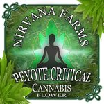 Image for the Tweet beginning: Peyote Critical Labels by JCruceWeb