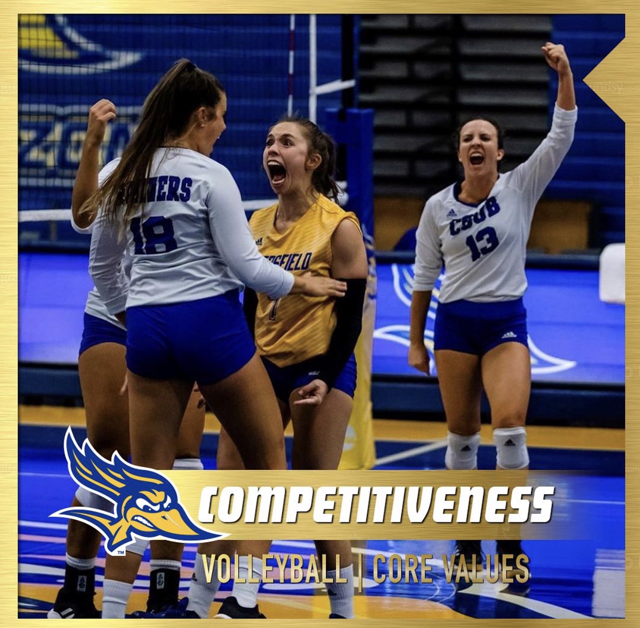 CSUB Volleyball on Twitter "Our last core value is COMPETITIVENESS