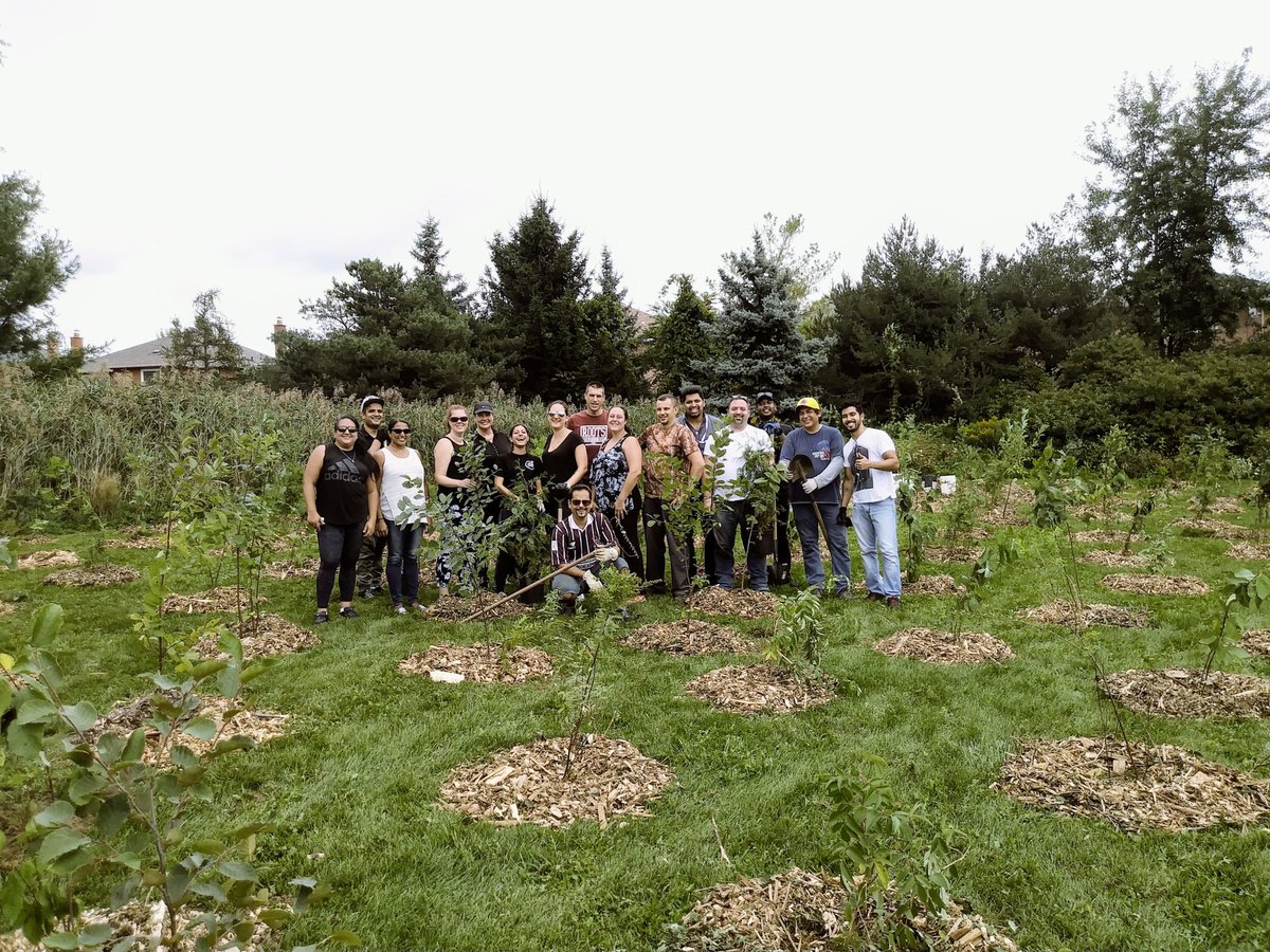 Is your community group or corporate team interested in giving back to the environment? We have limited stewardship opportunities left this fall for groups to plant trees, collect garbage, and even go in the stream to do some habitat restoration!