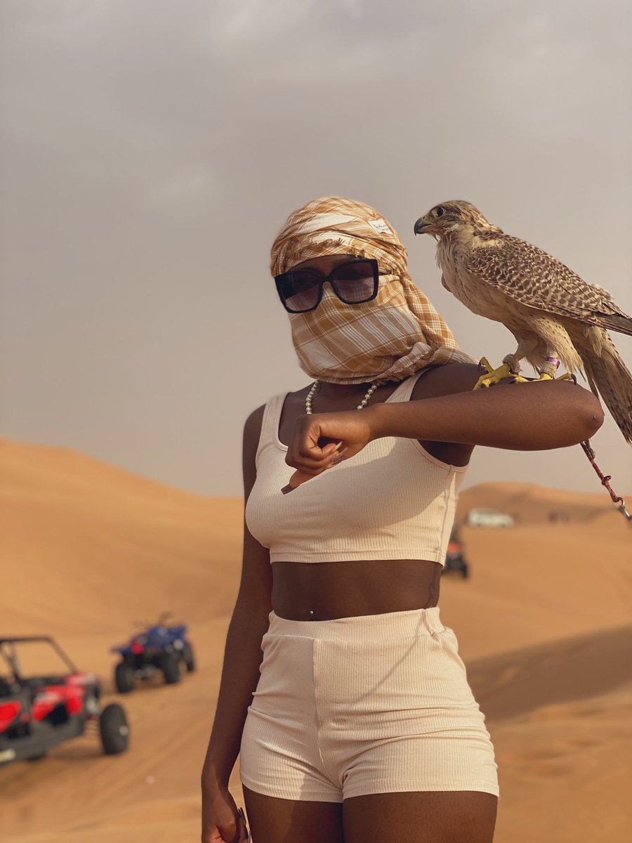 _msftss_'s tweet photo. Living lavishly 🏜 https://t.co/tDjAHJYH5n