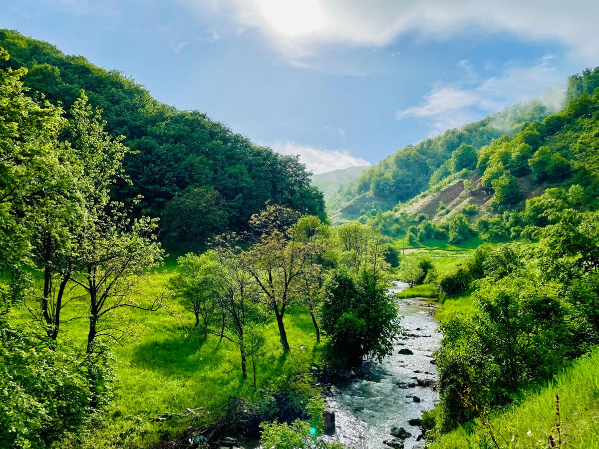 New CEE #SystematicMap Protocol: Evidence of effect of riparian attributes on listed freshwater fishes and mussels and their aquatic critical habitat
lnkd.in/e6TYe9uw <a href="/EvaEnders/">Eva Enders</a> #CriticalHabitat #SpeciesAtRisk #EvidenceSynthesis #EnvEvidence