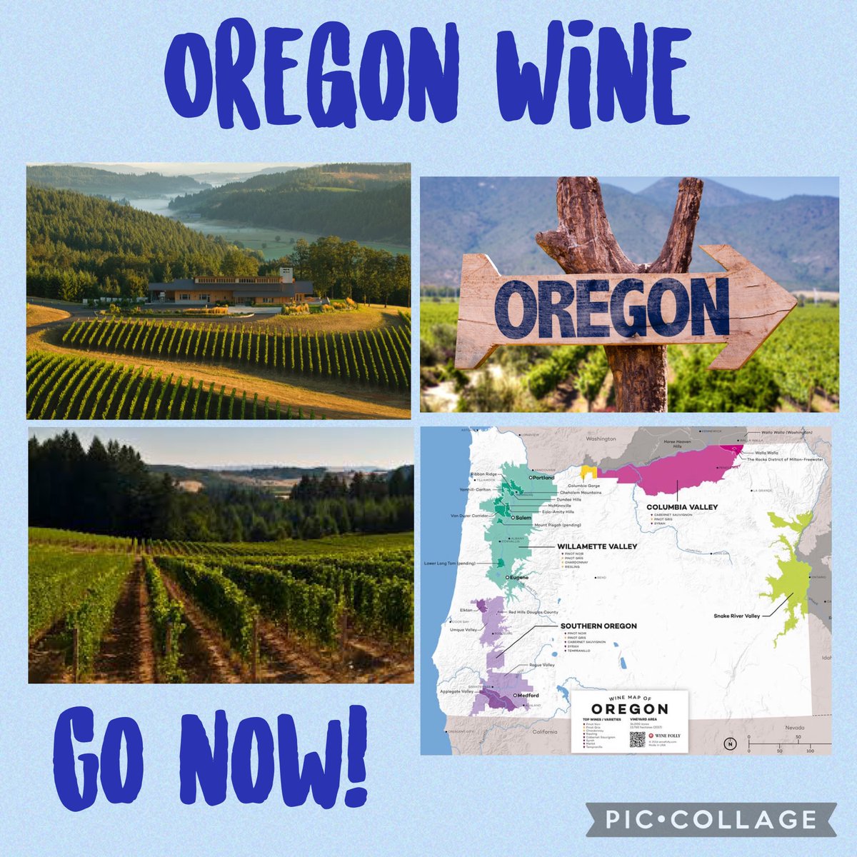 Planning a last minute trip this summer? Need somewhere to go? 

We know the perfect place!! Visit Oregon and taste a variety of Award Winning Wines and an absolutely stunning atmosphere! You won’t regret it!
#oregon #travel #winelover #orwine #winetaste