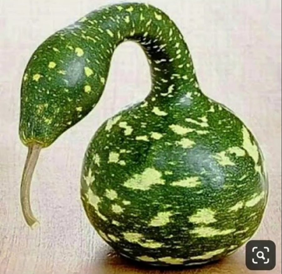 E8iGGRUXoAgb2Xr