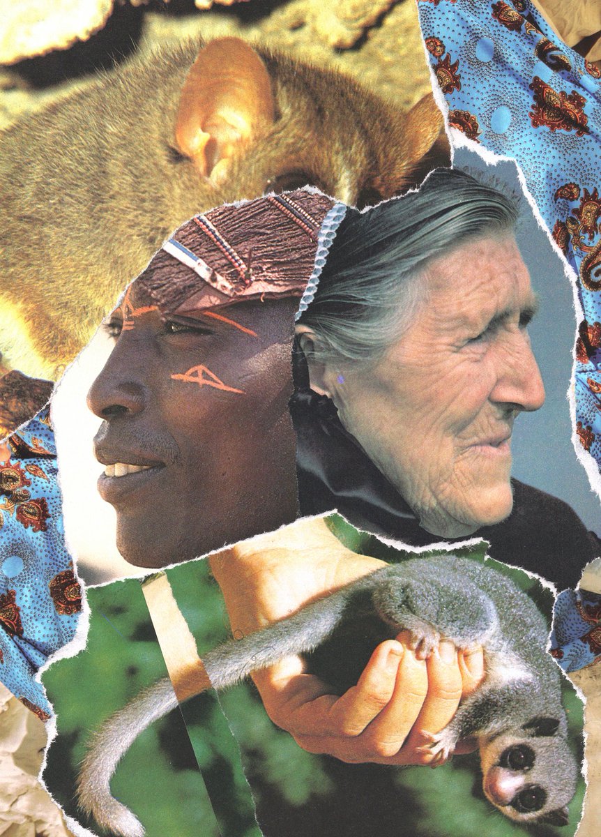 Gonversations With Cod

7.25 x 10"

San Diego family- go see @simpkinproject and @dubbest Thursday at Belly Up!

#paperart #circleoflife #collage