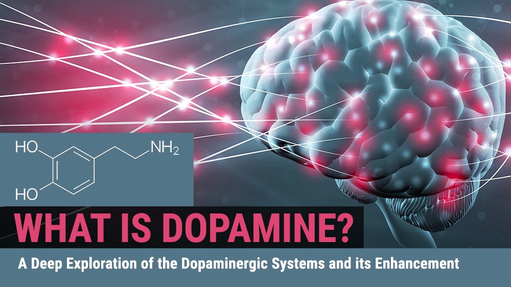 qualialifeco's tweet image. Dopamine 101 🧠 buff.ly/34IlHKP #brain #neuroscience #neurohacking #biohacking