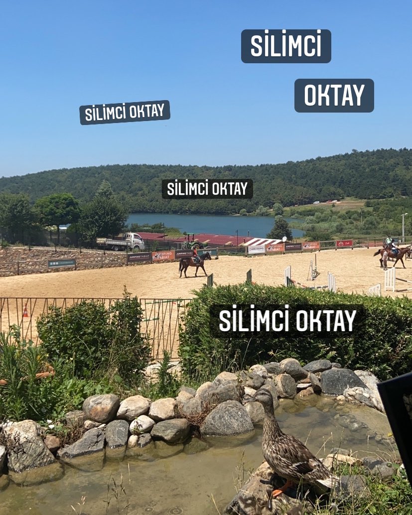 Bursanın herhangi bir yeri