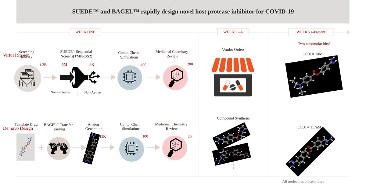 1910_ai's tweet photo. Applying the technology to #COVID19 required innovation in both #biology and #machinelearning, @JenNwankwo tells #ExtraCrunch. But the hustle paid off, with the discovery of novel protease-targeting molecules.
More on the effort: https://t.co/L437saLdTh https://t.co/8xpHoJShZR