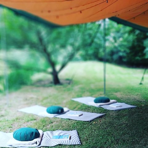 calmpaths's tweet photo. I will be hosting an #outdoor mindfulness taster session, inviting you to explore the nature of being fully present-
Sunday 29th August in Rosemount gardens,  Co. Meath.
 Everyone welcome, including those new to #mindfulness 
 https://t.co/xcRhn9nr1J
#louthchat #lovedrogheda https://t.co/g2yxUHV05T