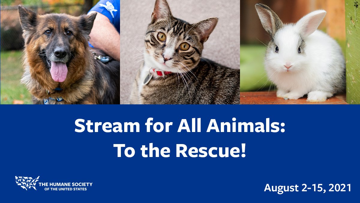 The Humane Society Of The United States Humanesociety Twitter