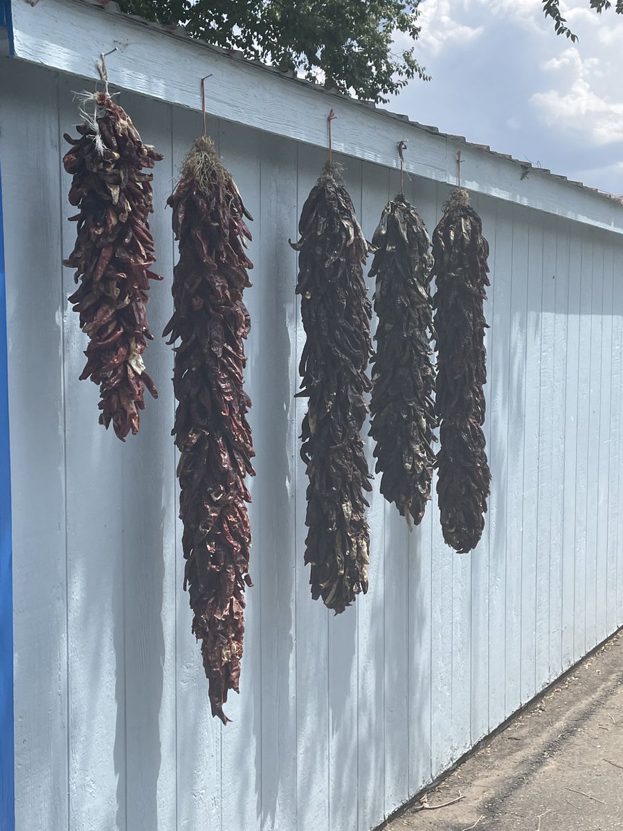 Nothing better than New Mexico chiles