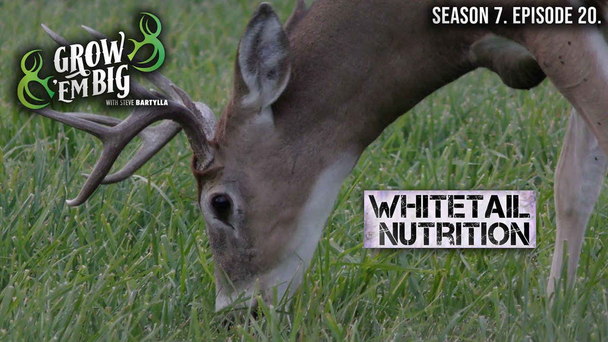 deerhuntingmag tweet picture
