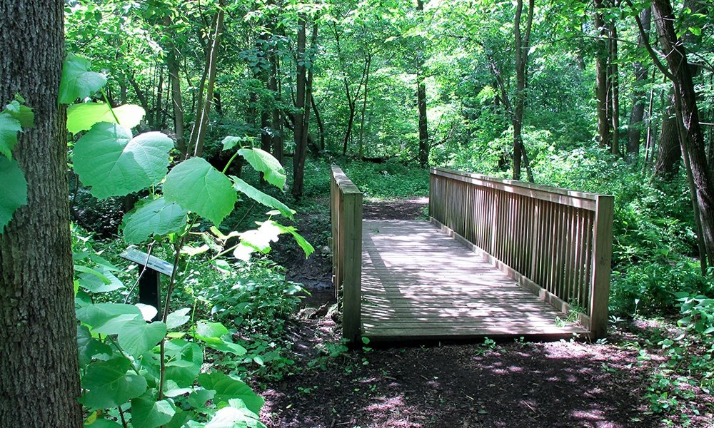 dupageforest's tweet photo. Looking for a quick lunchtime hike? Here are our picks for some great short trail loops that can help you soak up the best of summer in a small window of time!
https://t.co/6Wfn8TULv9 https://t.co/1JMXAJxVax