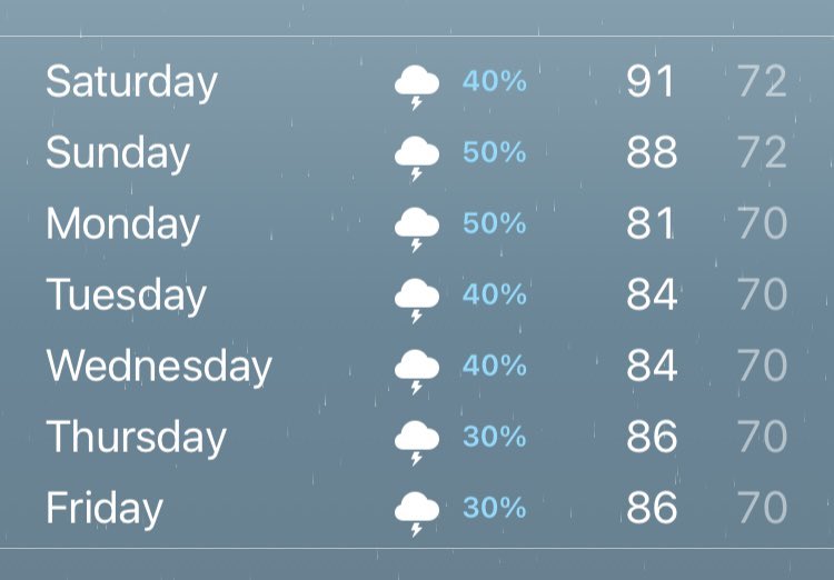 @austinlouisray.bsky.social tweet media