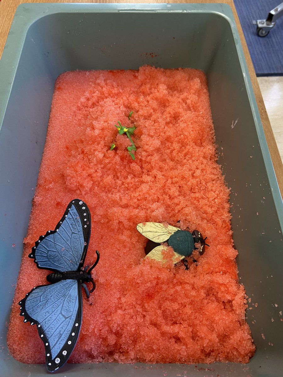 Some amazing sensory activities explored this week at @MC_ROCCstars