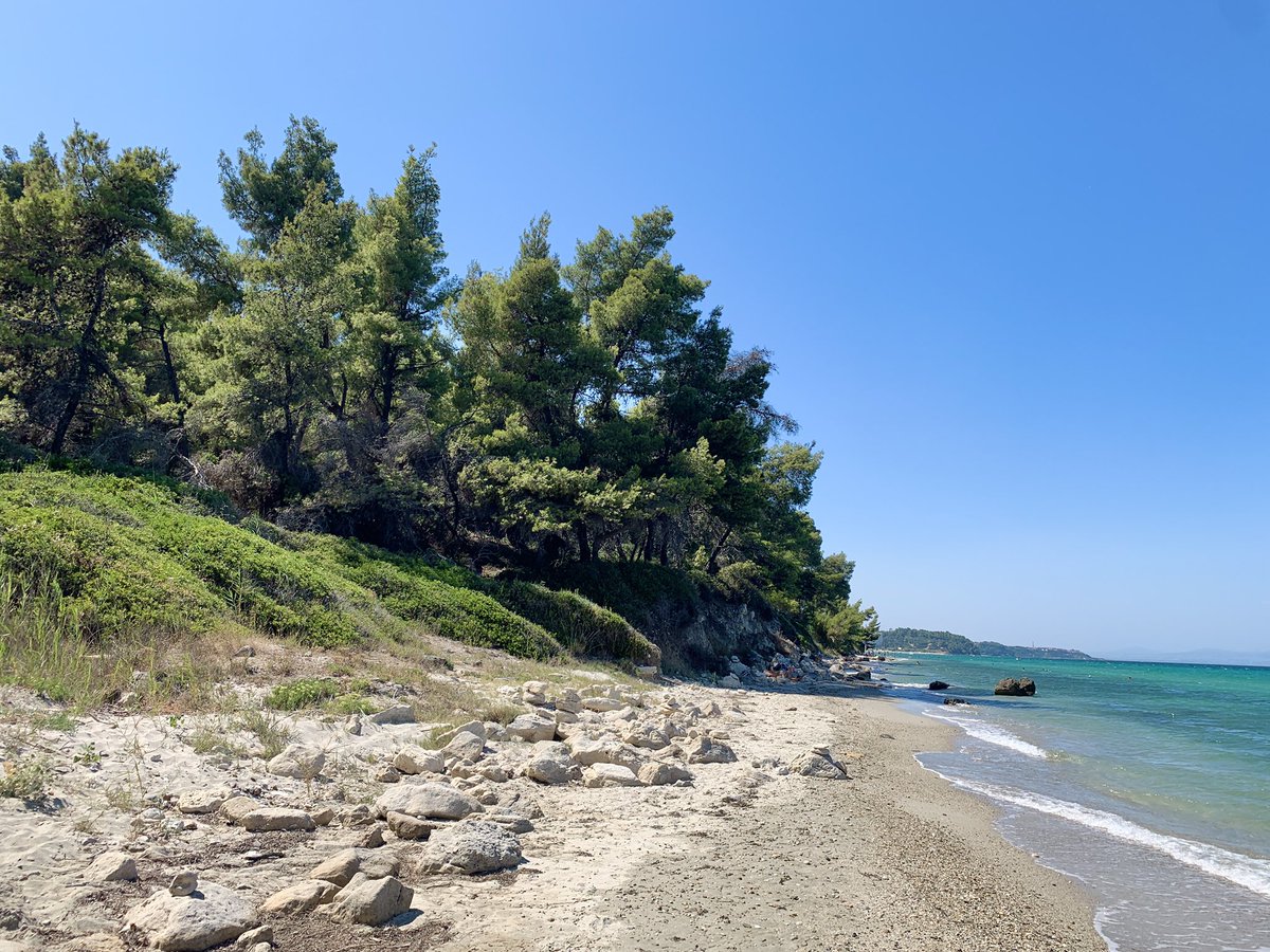 kathixger's tweet image. vaccinated girl summer in greece #doitforthegram