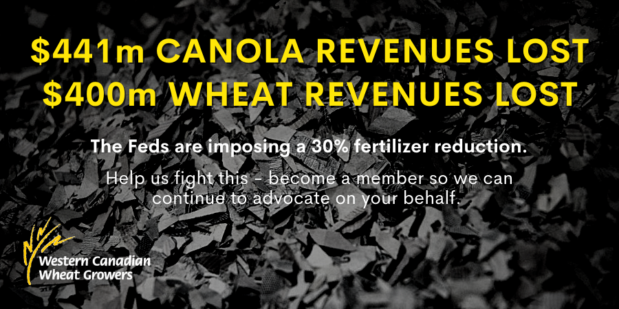 wheatgrowers's tweet photo. Help us fight this fake policy - become a member. We need you. 
CLICK HERE: https://t.co/hJwH1w1Kmw
#AdvocatingForUs #FakePolicy https://t.co/Hei22UTadP